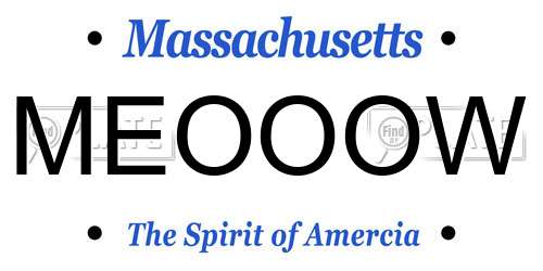 MEOOOW Massachusetts License Plate