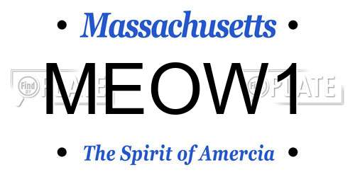 MEOW1 Massachusetts License Plate
