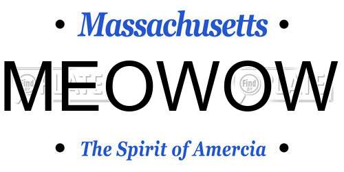 MEOWOW Massachusetts License Plate