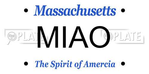 MIAO Massachusetts License Plate
