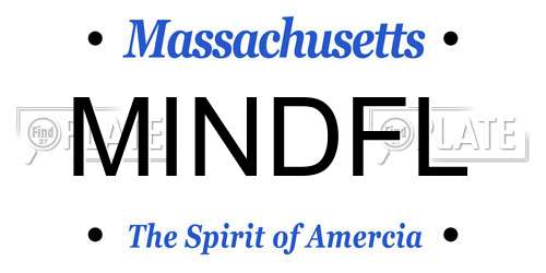 MINDFL Massachusetts License Plate