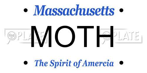 MOTH Massachusetts License Plate