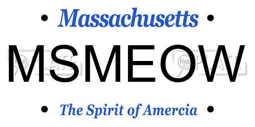 MSMEOW Massachusetts License Plate