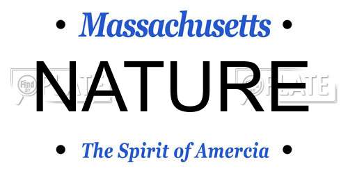 NATURE Massachusetts License Plate