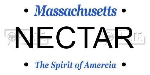 NECTAR Massachusetts License Plate