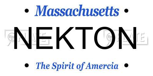NEKTON Massachusetts License Plate