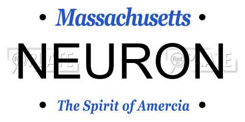 NEURON Massachusetts License Plate