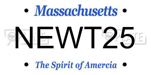 NEWT25 Massachusetts License Plate