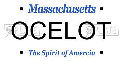 OCELOT Massachusetts License Plate
