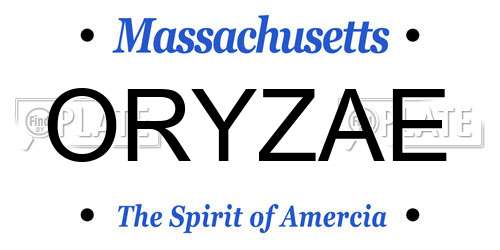 ORYZAE Massachusetts License Plate