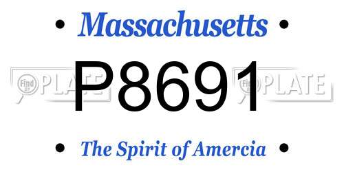 P8691 Massachusetts License Plate