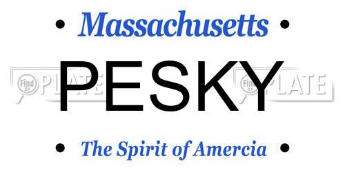 PESKY Massachusetts License Plate