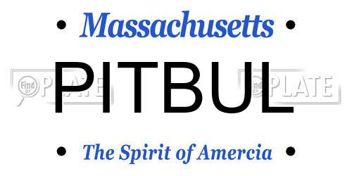 PITBUL Massachusetts License Plate