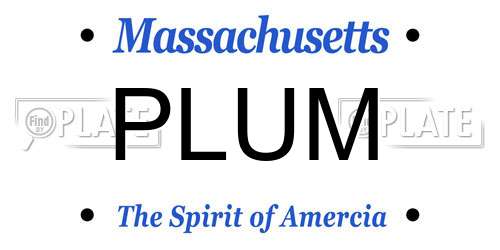 PLUM Massachusetts License Plate