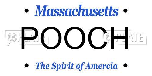 POOCH Massachusetts License Plate