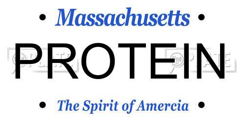 PROTEIN Massachusetts License Plate