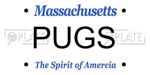 PUGS Massachusetts License Plate