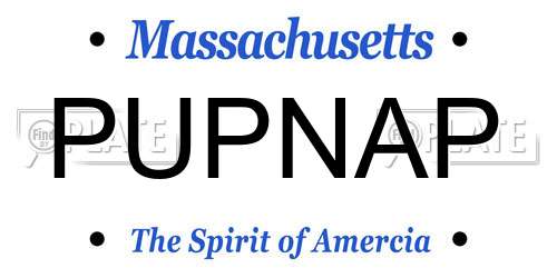PUPNAP Massachusetts License Plate
