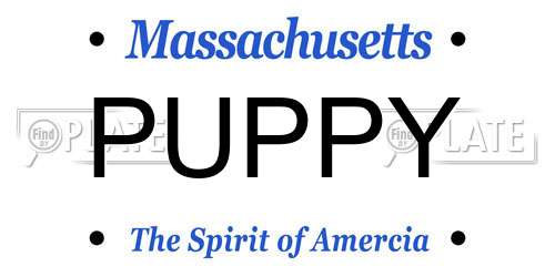 PUPPY Massachusetts License Plate