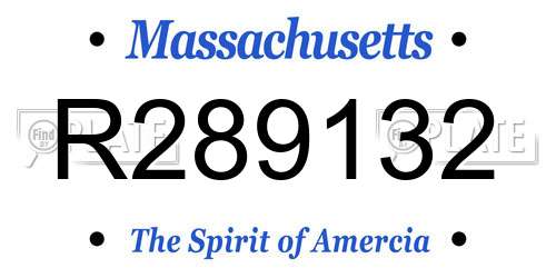 R289132 Massachusetts License Plate