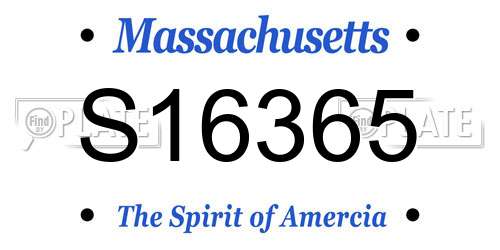 S16365 Massachusetts License Plate