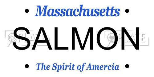 SALMON Massachusetts License Plate