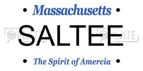 SALTEE Massachusetts License Plate