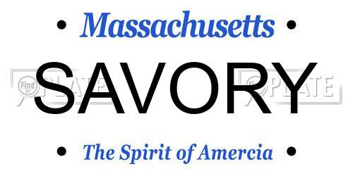 SAVORY Massachusetts License Plate