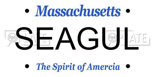 SEAGUL Massachusetts License Plate