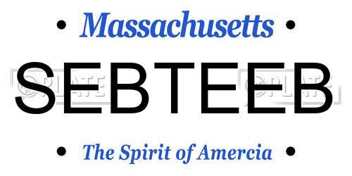 SEBTEEB Massachusetts License Plate