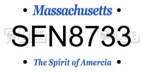 SFN8733 Massachusetts License Plate