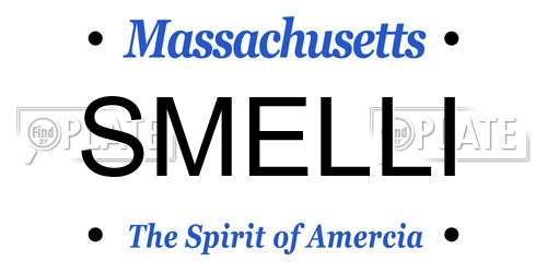 SMELLI Massachusetts License Plate