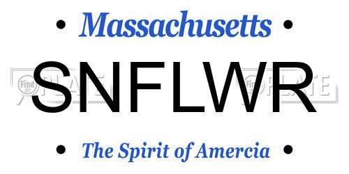 SNFLWR Massachusetts License Plate
