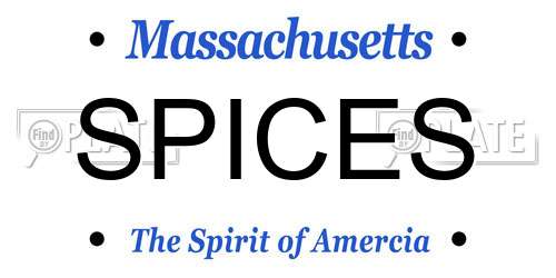 SPICES Massachusetts License Plate