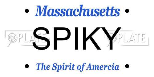 SPIKY Massachusetts License Plate