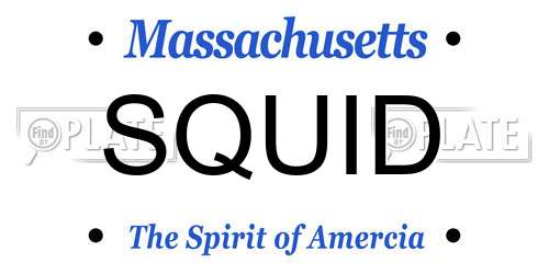 SQUID Massachusetts License Plate