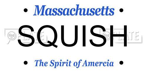 SQUISH Massachusetts License Plate