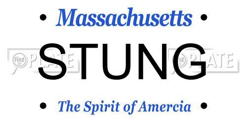 STUNG Massachusetts License Plate