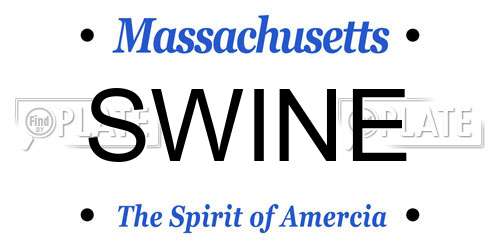 SWINE Massachusetts License Plate