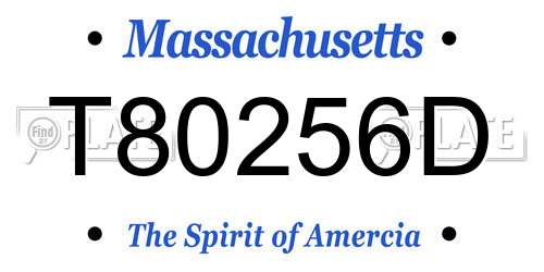T80256D Massachusetts License Plate