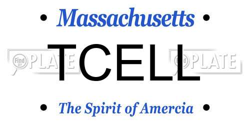 TCELL Massachusetts License Plate
