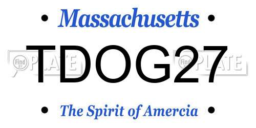 TDOG27 Massachusetts License Plate