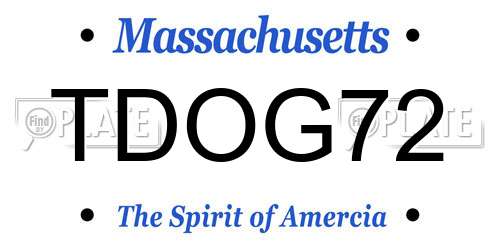 TDOG72 Massachusetts License Plate