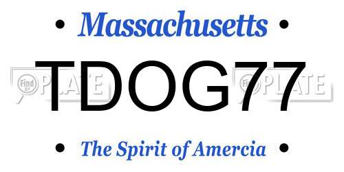 TDOG77 Massachusetts License Plate