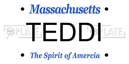 TEDDI Massachusetts License Plate