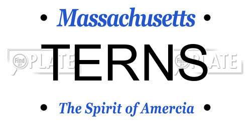 TERNS Massachusetts License Plate