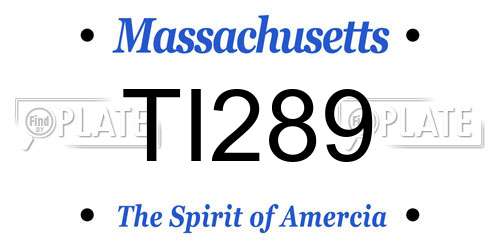 TI289 Massachusetts License Plate