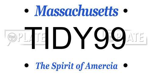 TIDY99 Massachusetts License Plate
