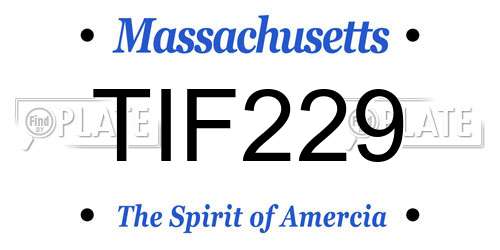 TIF229 Massachusetts License Plate