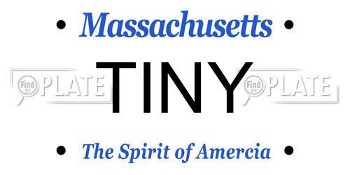 TINY Massachusetts License Plate